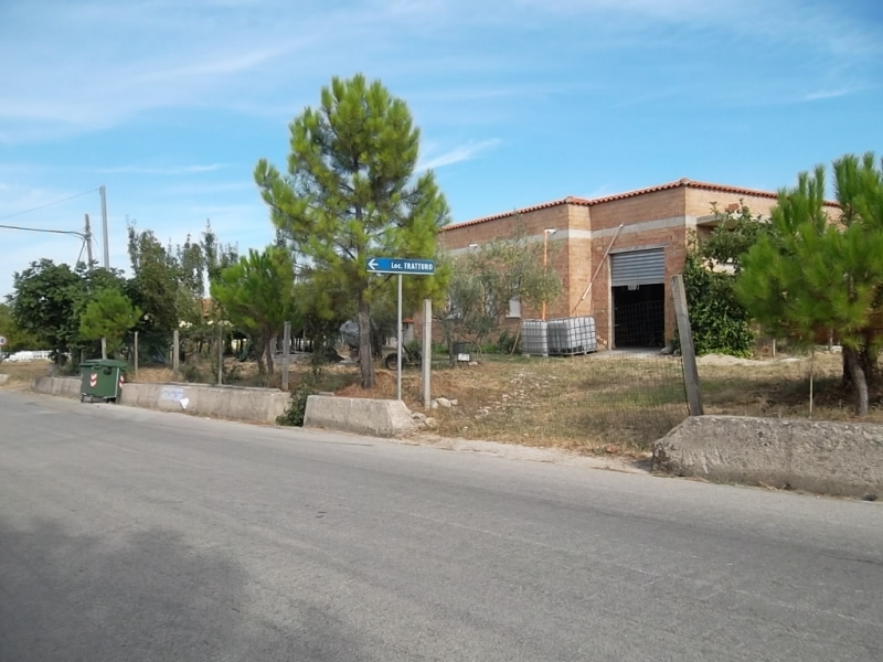 rif 557 – Azienda Agricola a  Gissi, Chieti