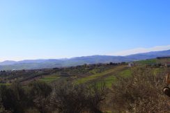 IMG_1119