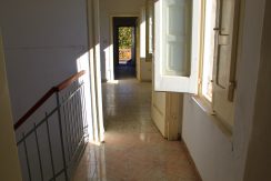 IMG_1124