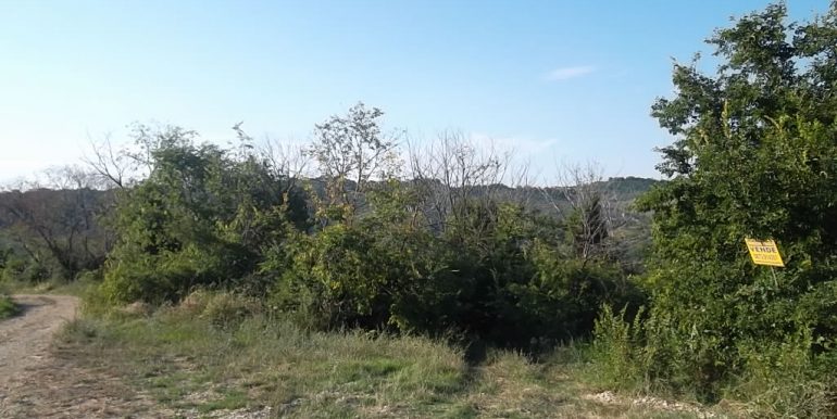 SAM_3859