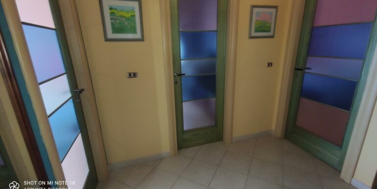 IMG_20220303_105158