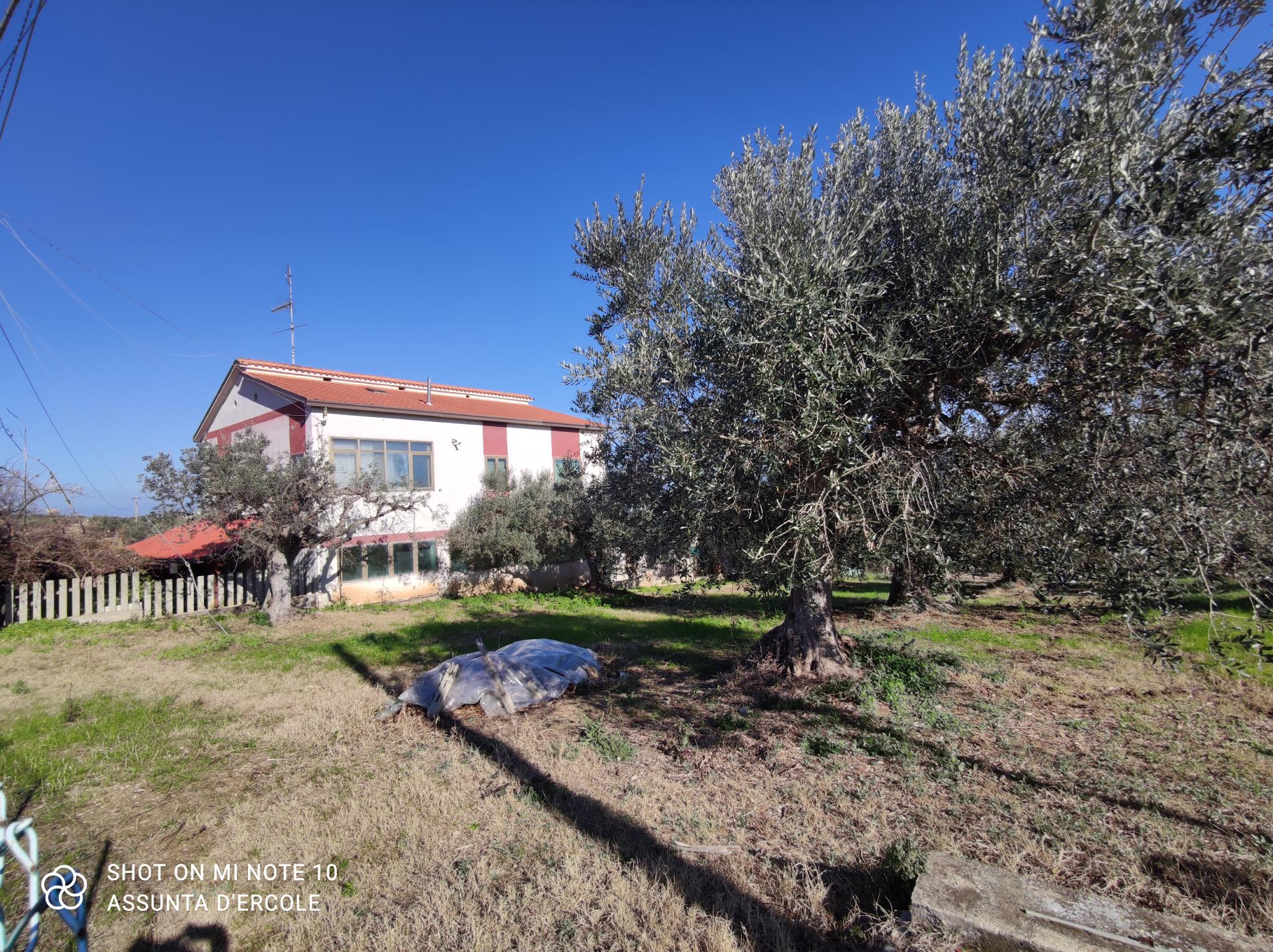 Rif 1448 Villalfonsina (CH) – Azienda agricola – Fabbricati e terreno – € 400000