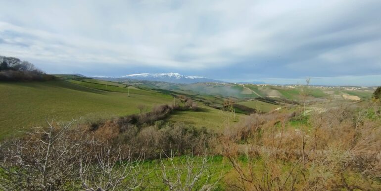 IMG_20250110_110126