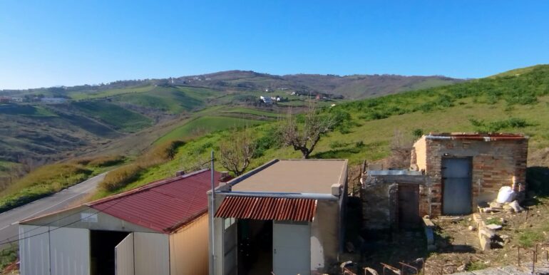 IMG_20250206_095337