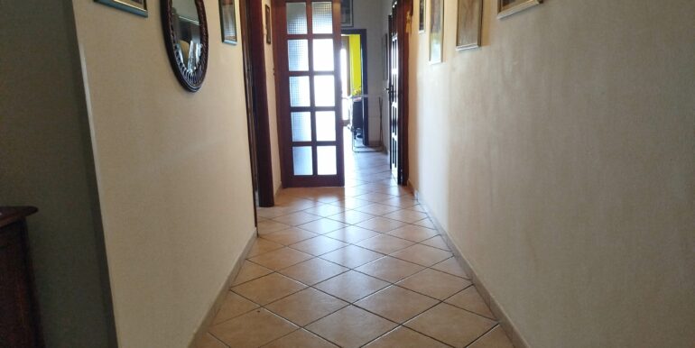 IMG_20250405_093325