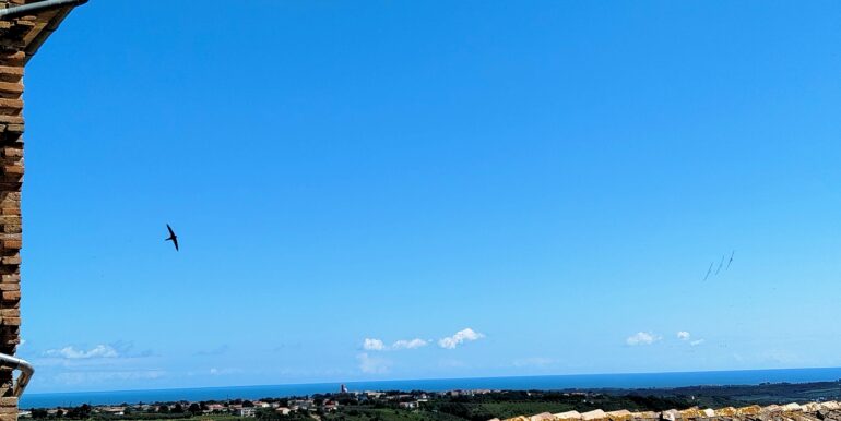 IMG_20250508_104914
