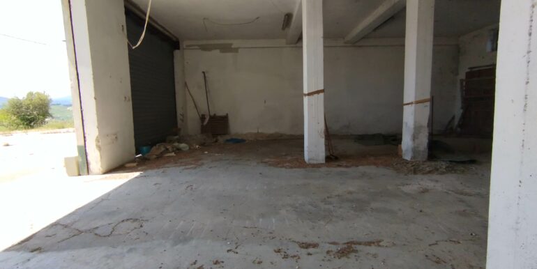 IMG_20250508_114841