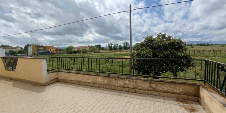 IMG_20240423_113139