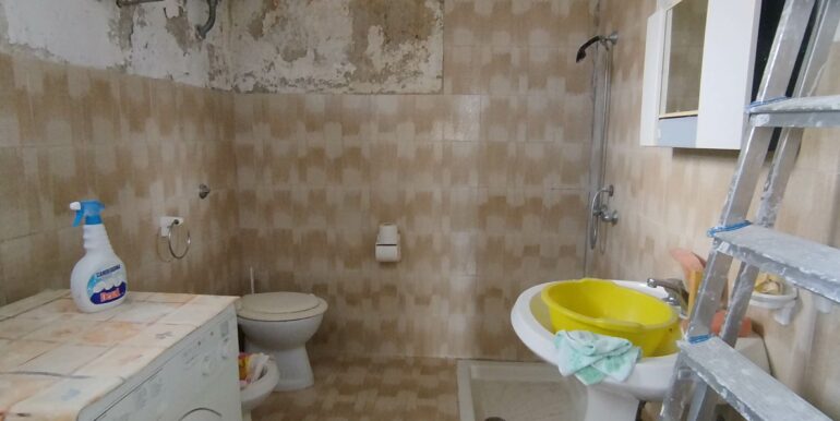IMG_20250313_104134