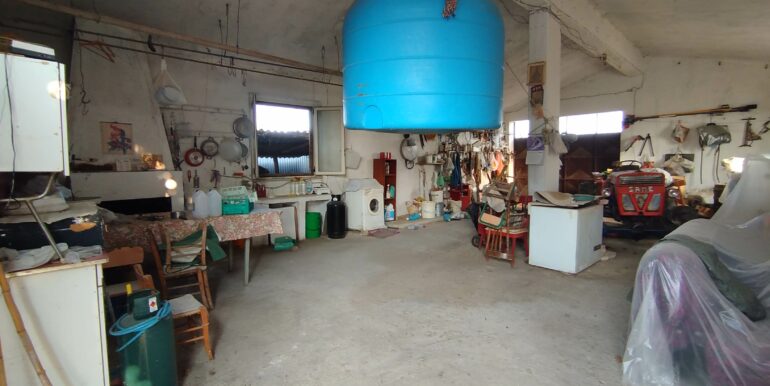 IMG_20250612_191352