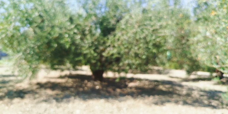 IMG_20250809_114658