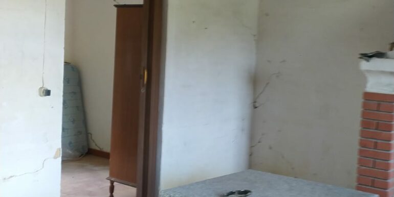 IMG-20250905-WA0013