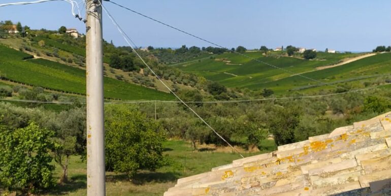 IMG-20250905-WA0030