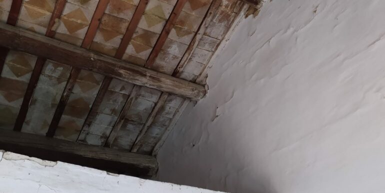 IMG-20251002-WA0049
