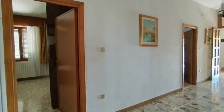 IMG_20251011_122903